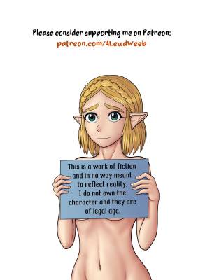 The Legend of Zelda: A Night with the Princess Porn Comic english 02