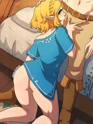 A Night with Zelda Porn Comic english 02
