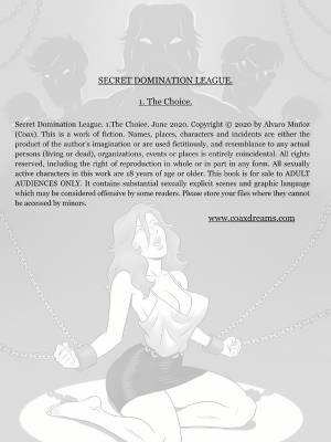 Secret Domination League Part 1:The Choice Porn Comic english 02