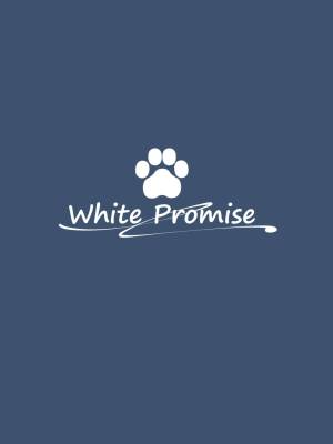 White Promise Porn Comic english 32