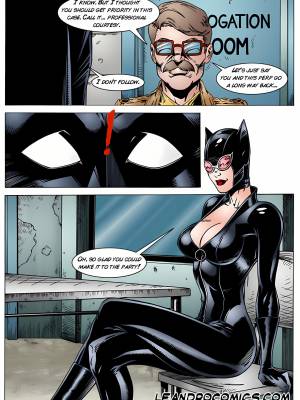 Batman And Catwoman Porn Comic english 06