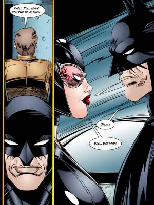 Batman And Catwoman Porn Comic english 07