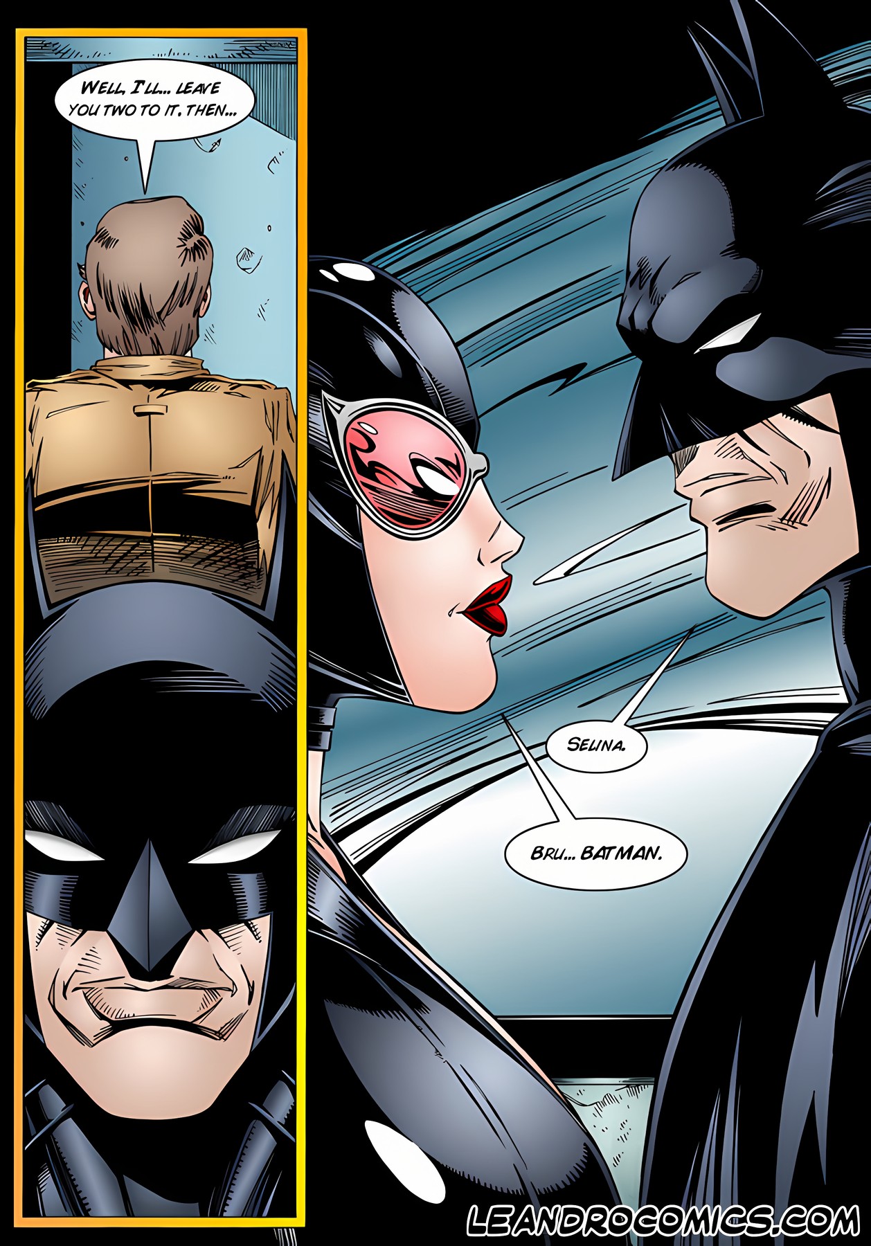 Batman And Catwoman Porn Comic english 07