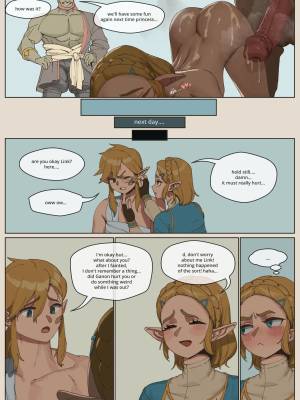 Zelda After Link Passes Out Porn Comic english 02