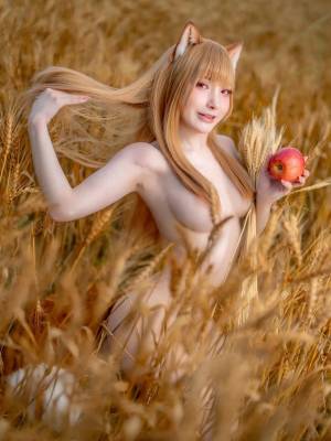 Siao Ding: Holo Porn Comics english 08