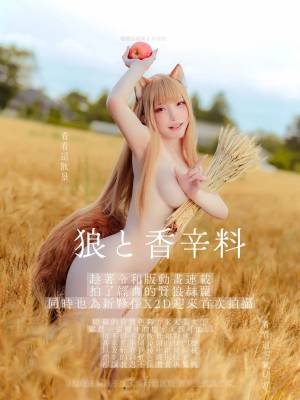 Siao Ding: Holo Porn Comics english 28