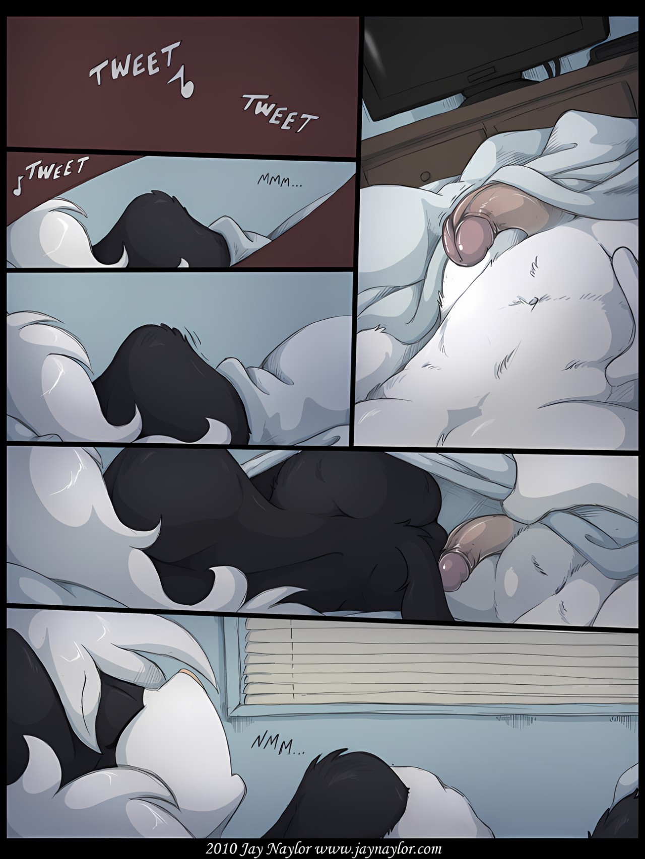 Good Morning, Tommy Porn Comics english 02