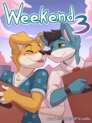 Weekend 3