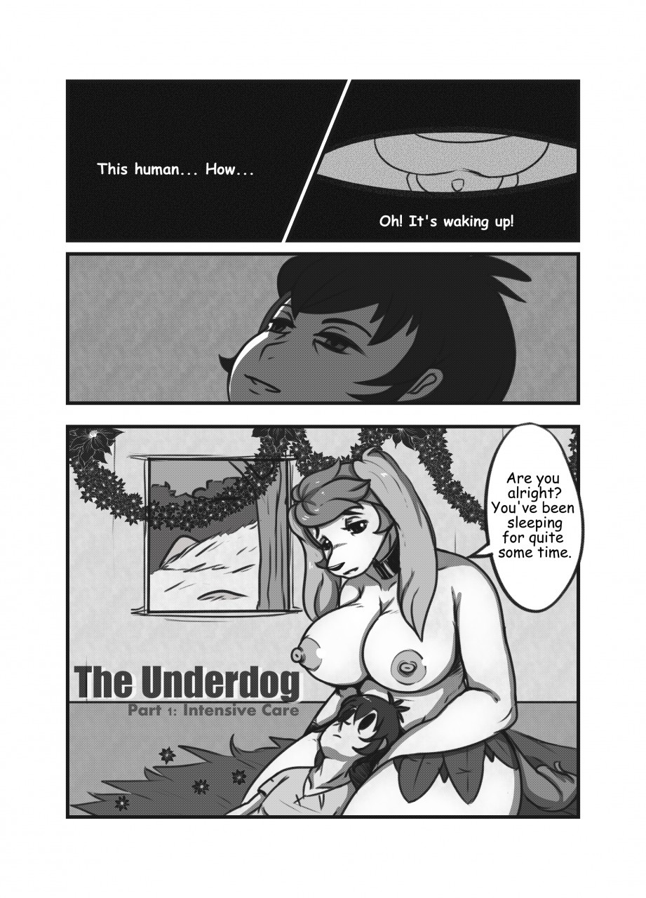 Underdog By Nimzy Porn Comics english 02