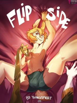 Flip Side