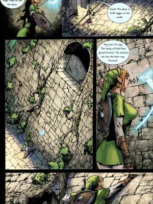 Hyrule's Hero By Sampleguy Porn Comics english 07