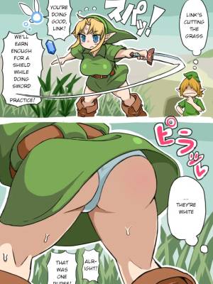 Big-Boobed Link Porn Comics english 05