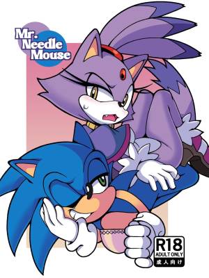 Mr. NeedleMouse