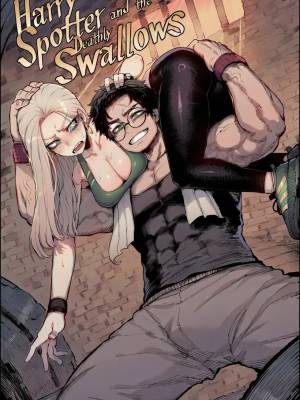 Harry Spotter And The Deathly Swallows